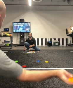 Slow The Game Down STGD: Tracking Discs (10-pack) -Baseball Helmets and Caps Shop AustinHedgesHarrisonSTGD1024x1024