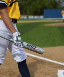 Clearance – Marucci CAT 7 Silver (-5) USSSA Baseball Bat: MSBC725S -Baseball Helmets and Caps Shop CAT7Silver 6 800x