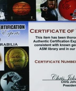 Sports-Autographs Tampa Bay Rays 2010 Team Signed Autographed MLB Replica Batting Helmet -Baseball Helmets and Caps Shop IMG 8720 52b10271 7ddd 468d bd31 dbcc33337363 1024x1024