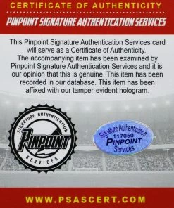 Sports-Autographs Chicago Cubs 2016 World Series Champions Team Signed Autographed Souvenir Full Size Batting Helmet Pinpoint COA Bryant Rizzo -Baseball Helmets and Caps Shop IMG 9020 1024x1024