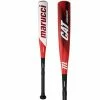 Clearance – Marucci CAT 8 Composite (-10) Junior Big Barrel Baseball Bat: MJBBCCP -Baseball Helmets and Caps Shop Marucci Cat Composite MJBBCCP Baseball Bat 800x